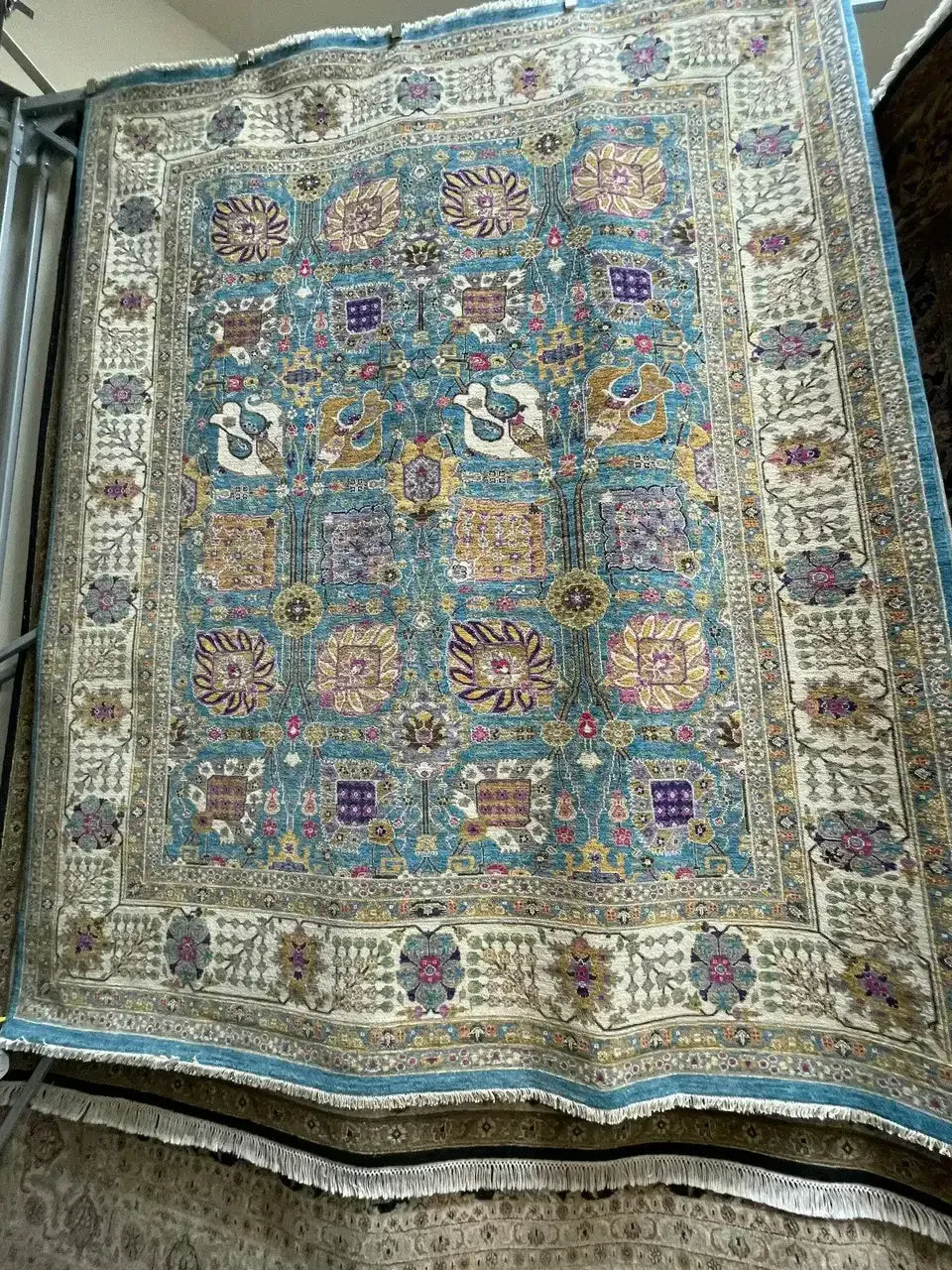 CI- 00559